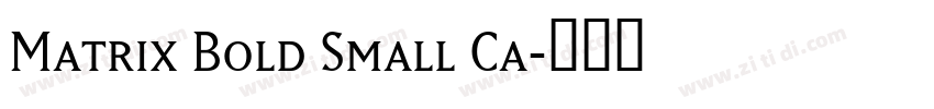 Matrix Bold Small Ca字体转换